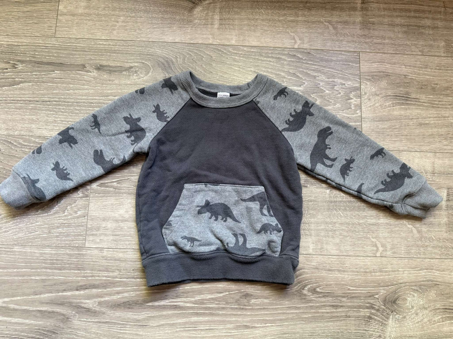 Carter's Dinosaur Sweatshirt size 2T, Kids 2T