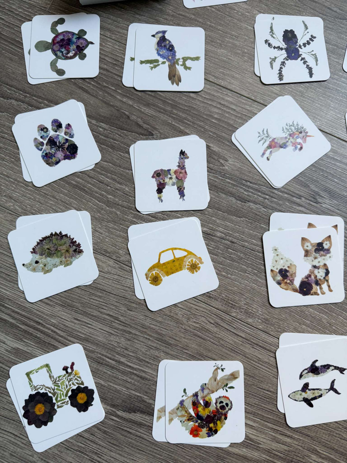 Oxeye Floral (Calgary small shop) Memory Game - set 1 of 2; MSRP $25