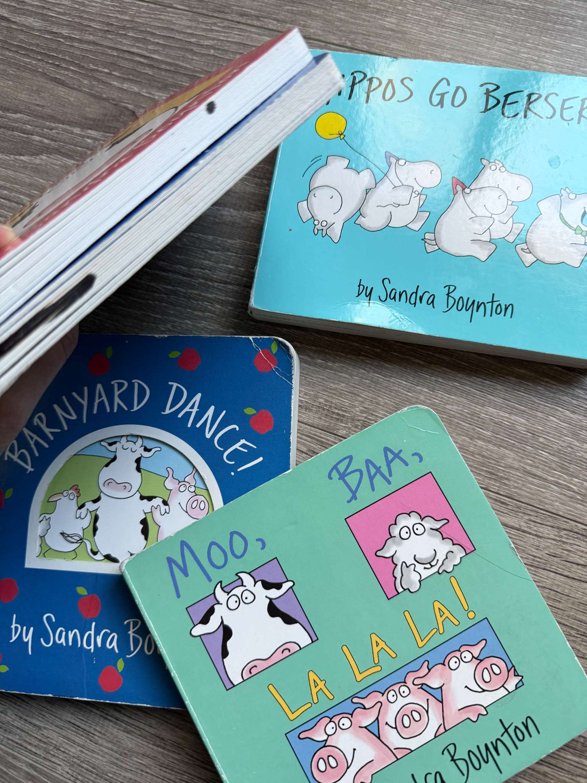 Sandra Boynton book bundle