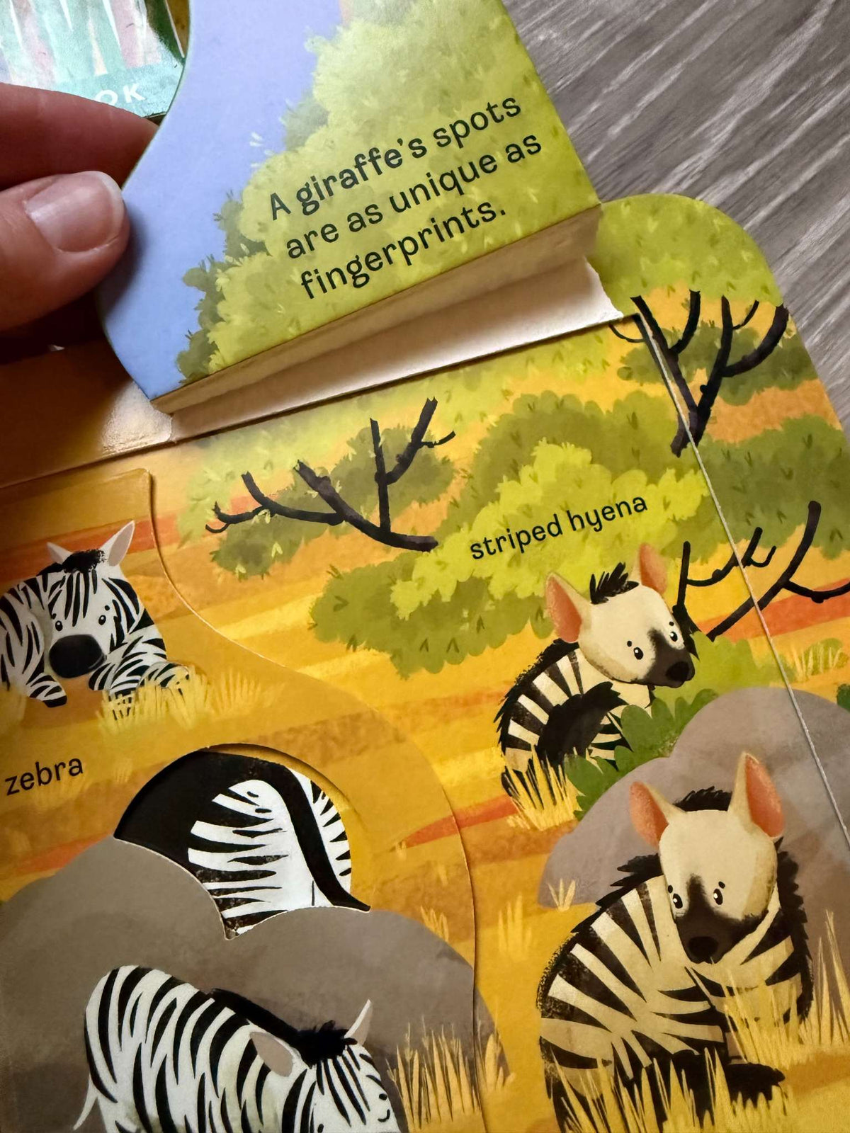 Popular Board Book collection