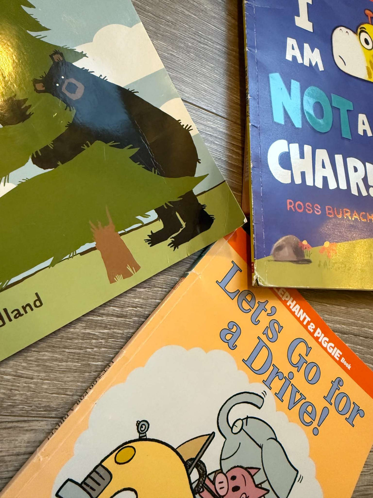 Various Picture Books