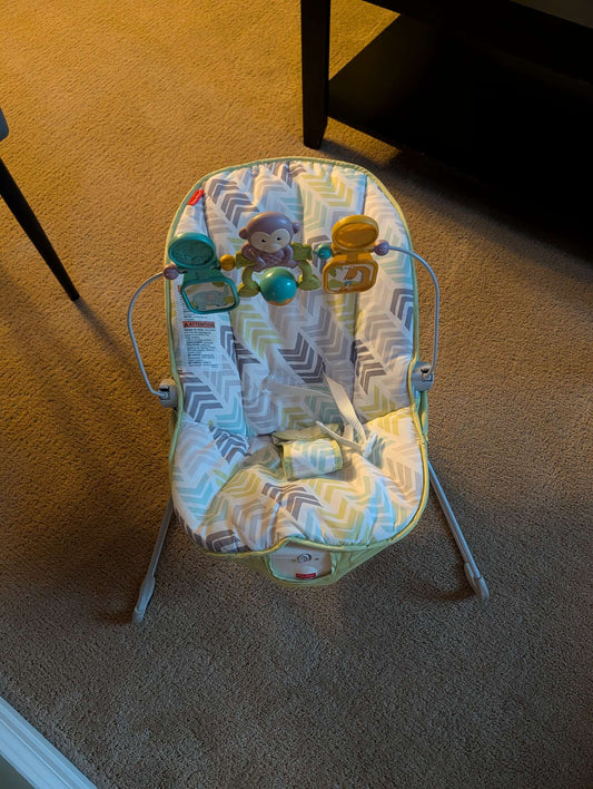 Fisher Price bouncer