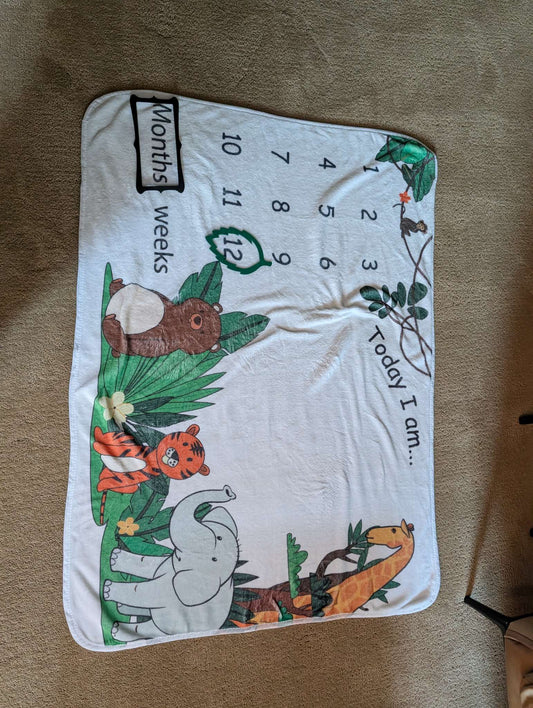 Photo blanket