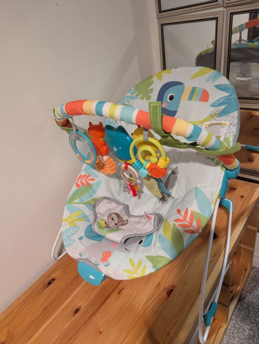 Bright Starts Bounce/ Rocker Chair with Vibrations