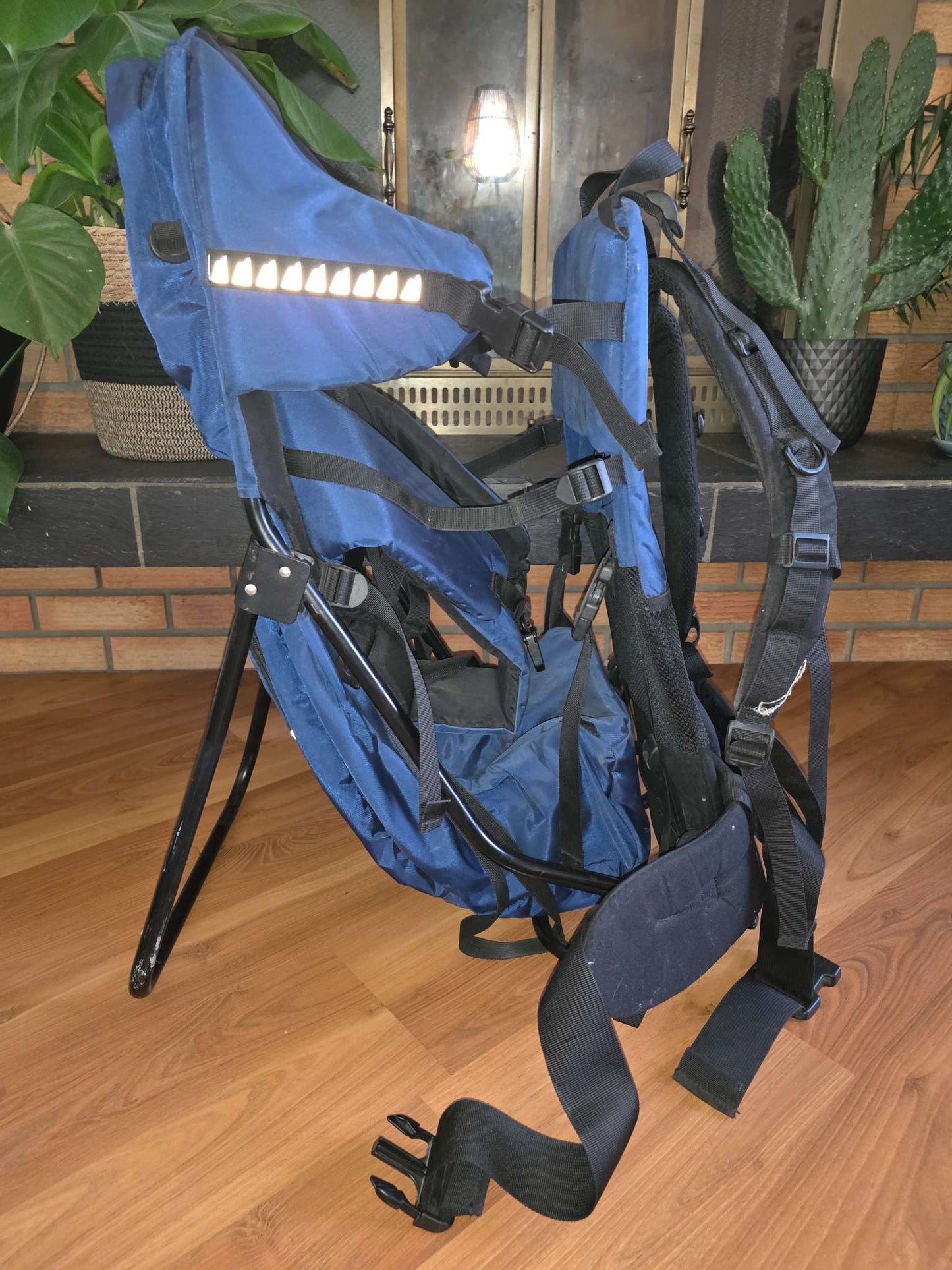 Hiking back pack