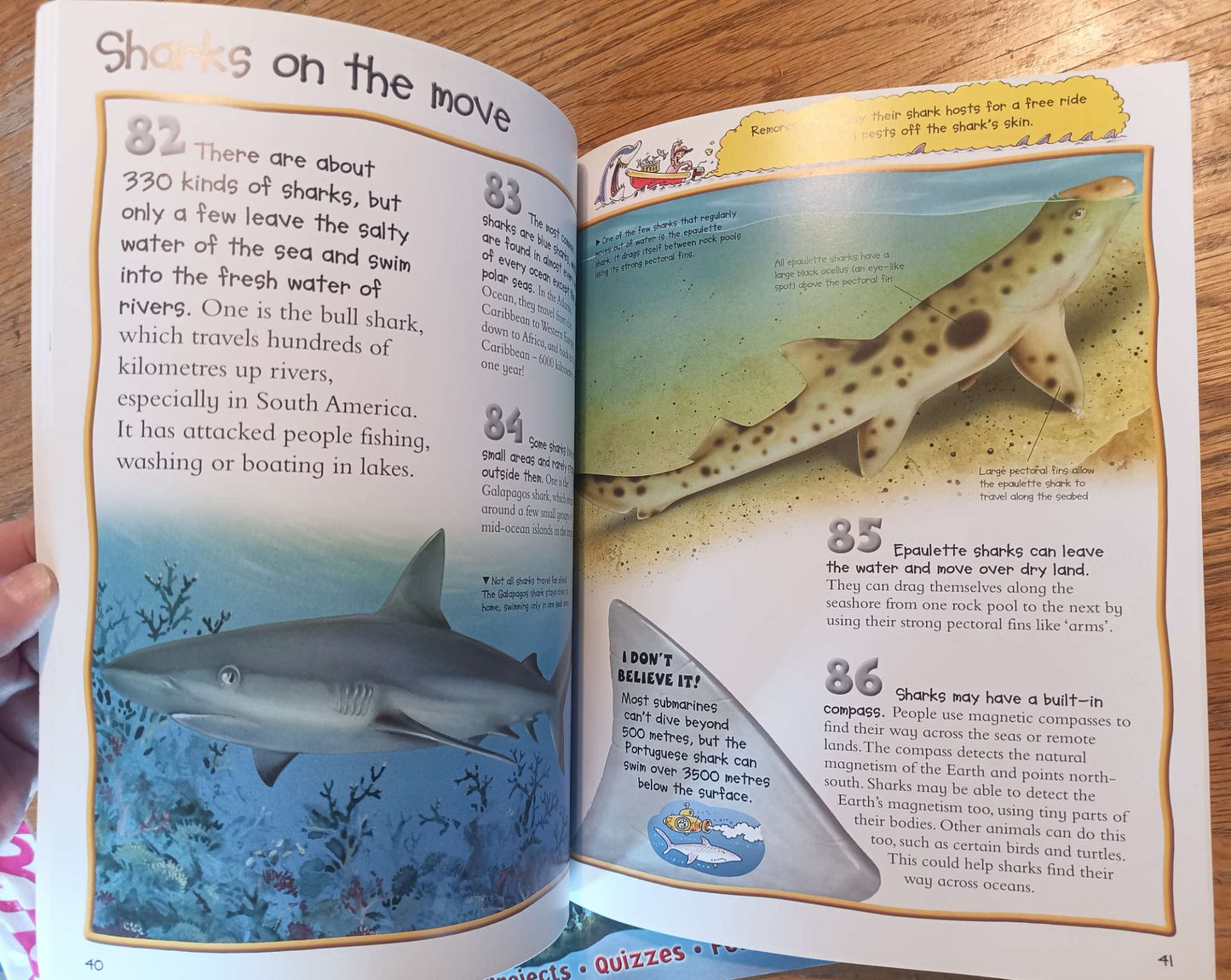 100 Facts Prehistoric Life + Sharks
