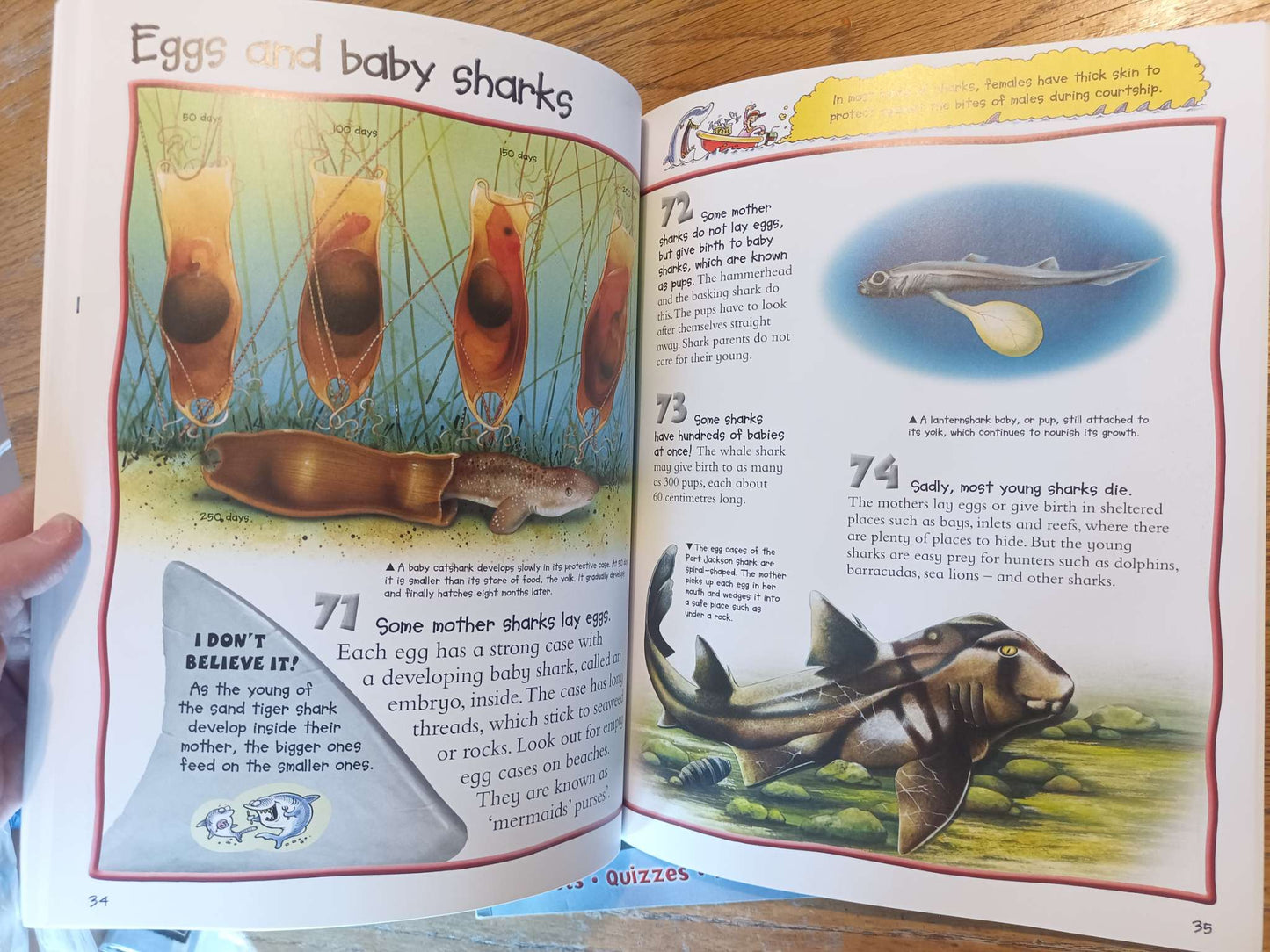100 Facts Prehistoric Life + Sharks