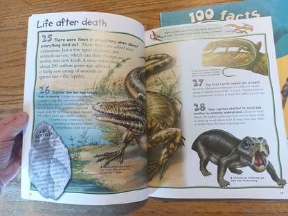 100 Facts Prehistoric Life + Sharks