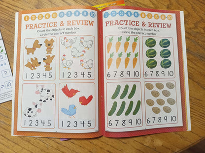 Numbers Work Books - Preschool/Kindergarten + intro multiplication