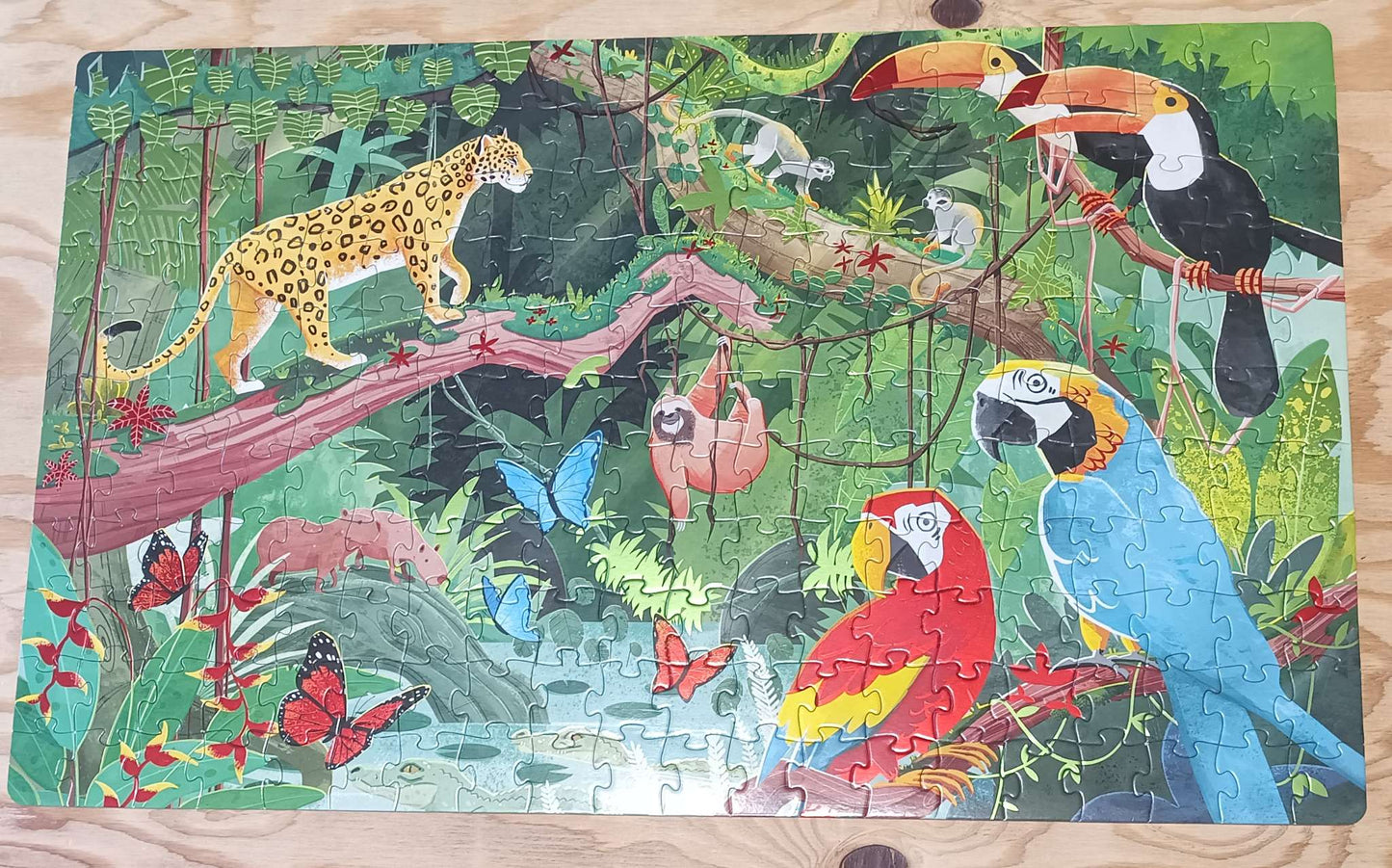 Sassi 220pc Puzzle - The Amazon