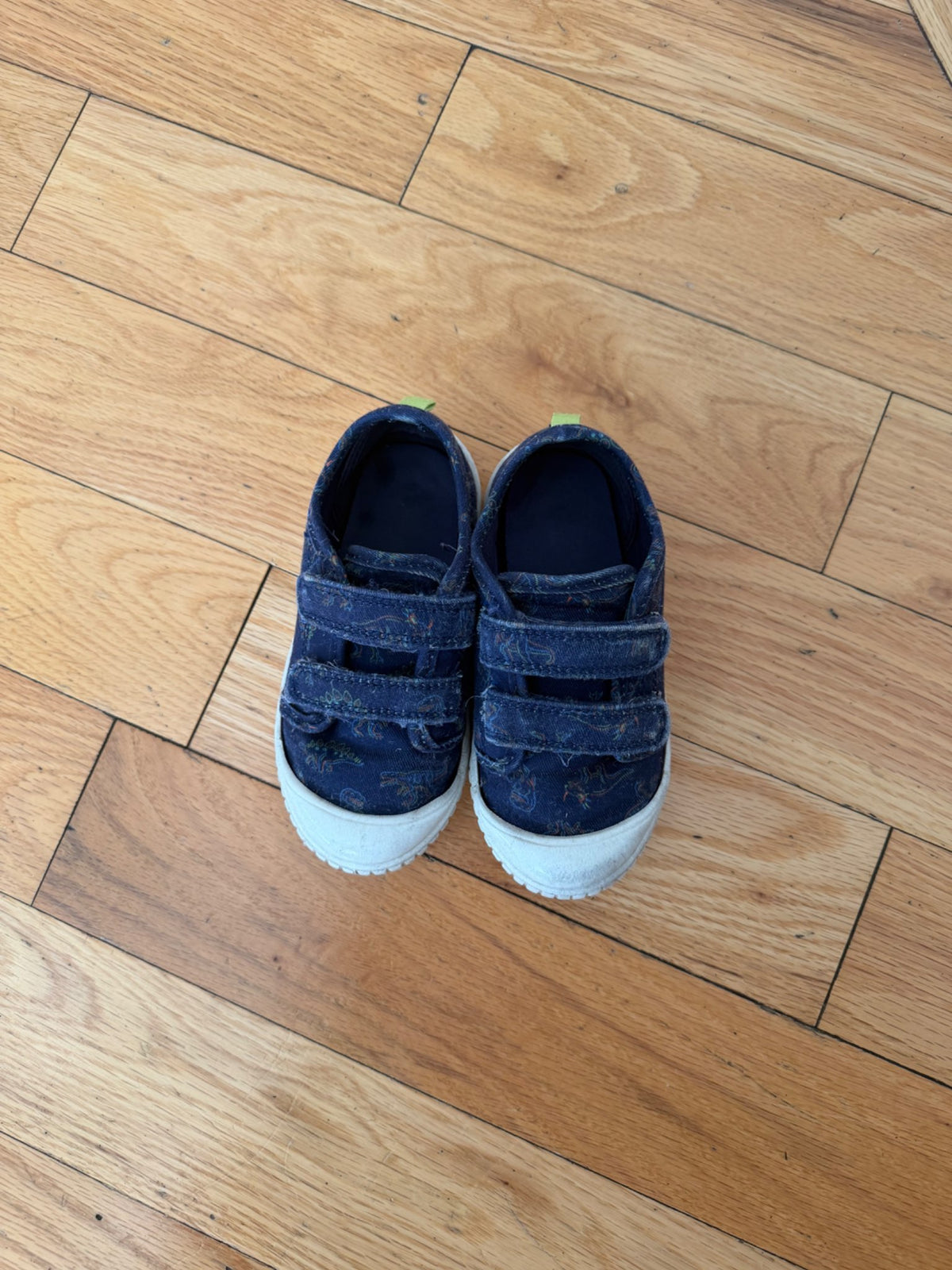 Dinosaur Velcro Shoes (Size 9), Shoes 9 (Toddler:2-4yr)