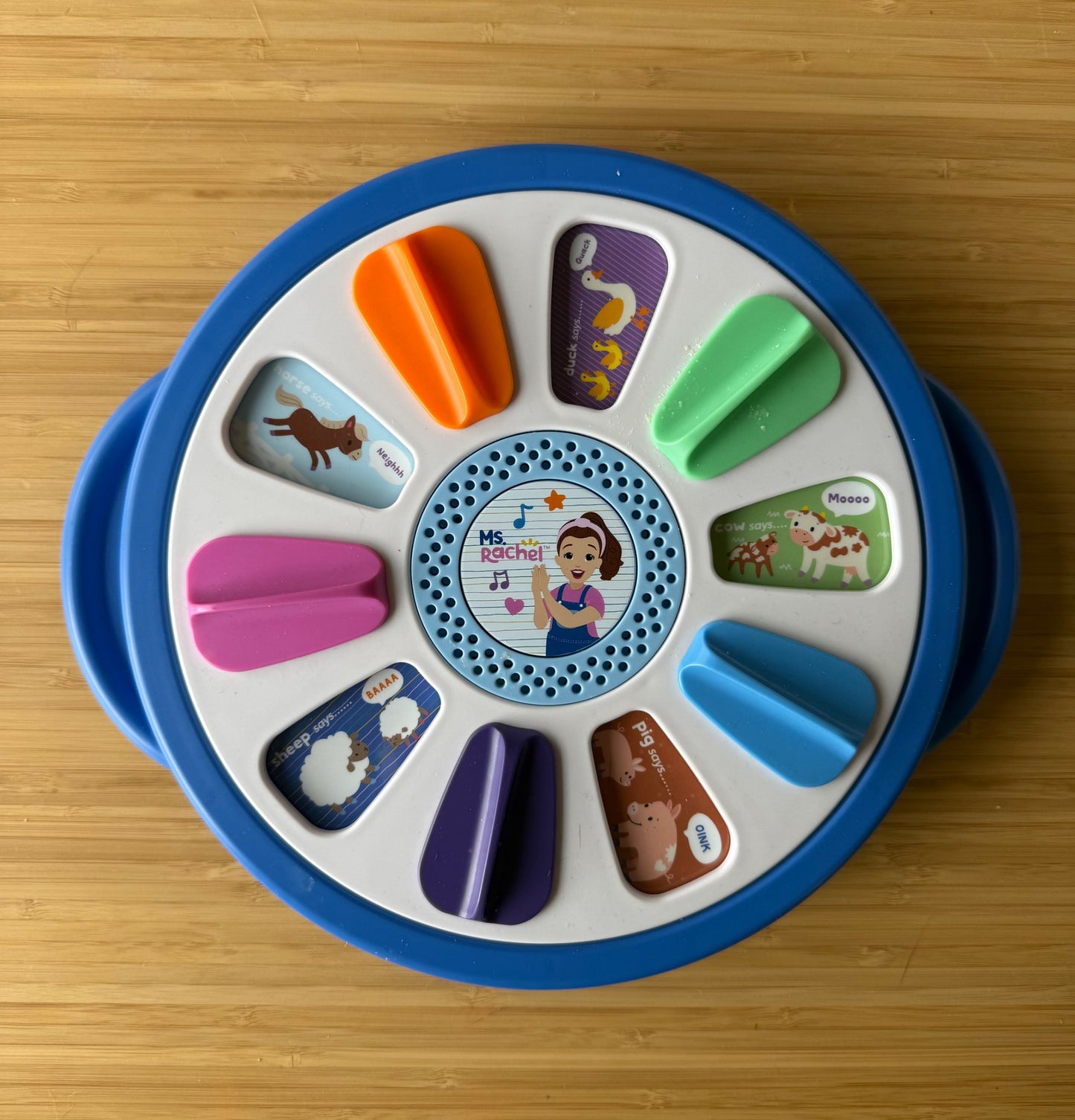 Ms. Rachel Interactive Learning Toy