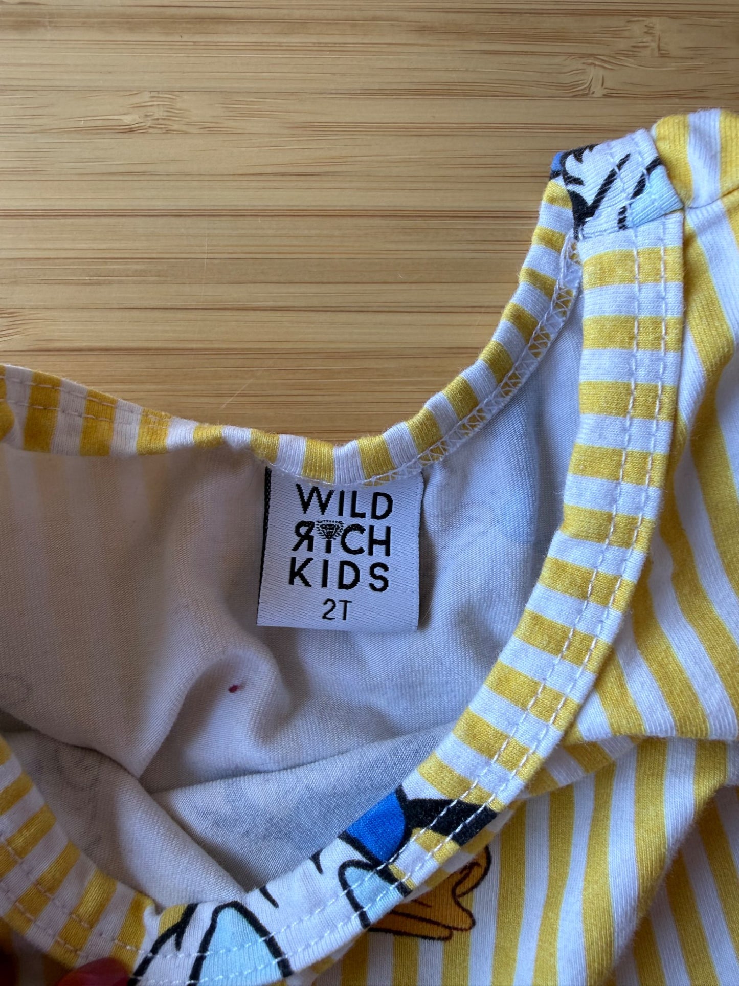 Wild Rich Kids Donald Duck Twirl Dress, Kids 2T