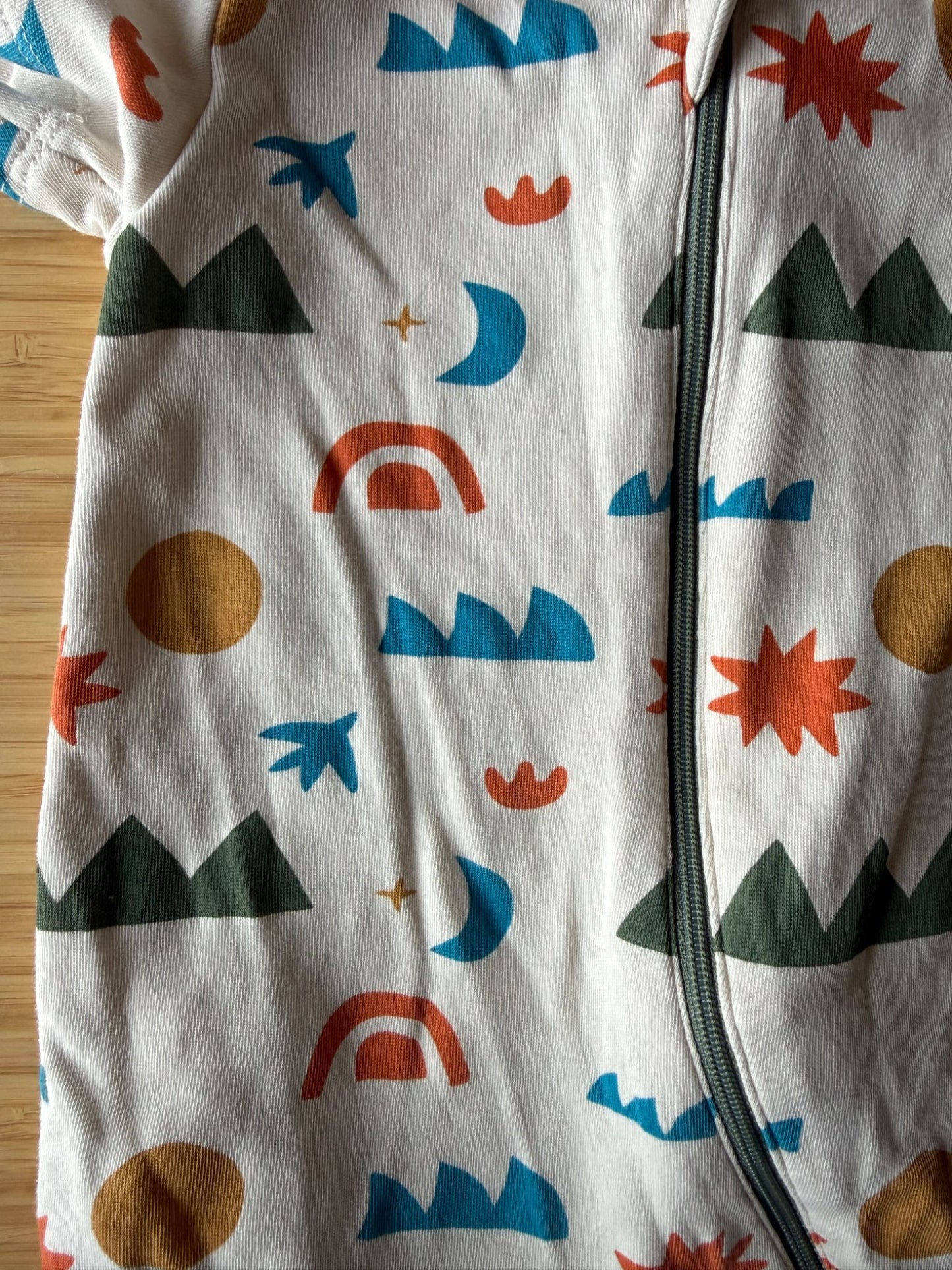 Parade Organics Short Sleeved Onesie, Kids 12 Month (9-12M)
