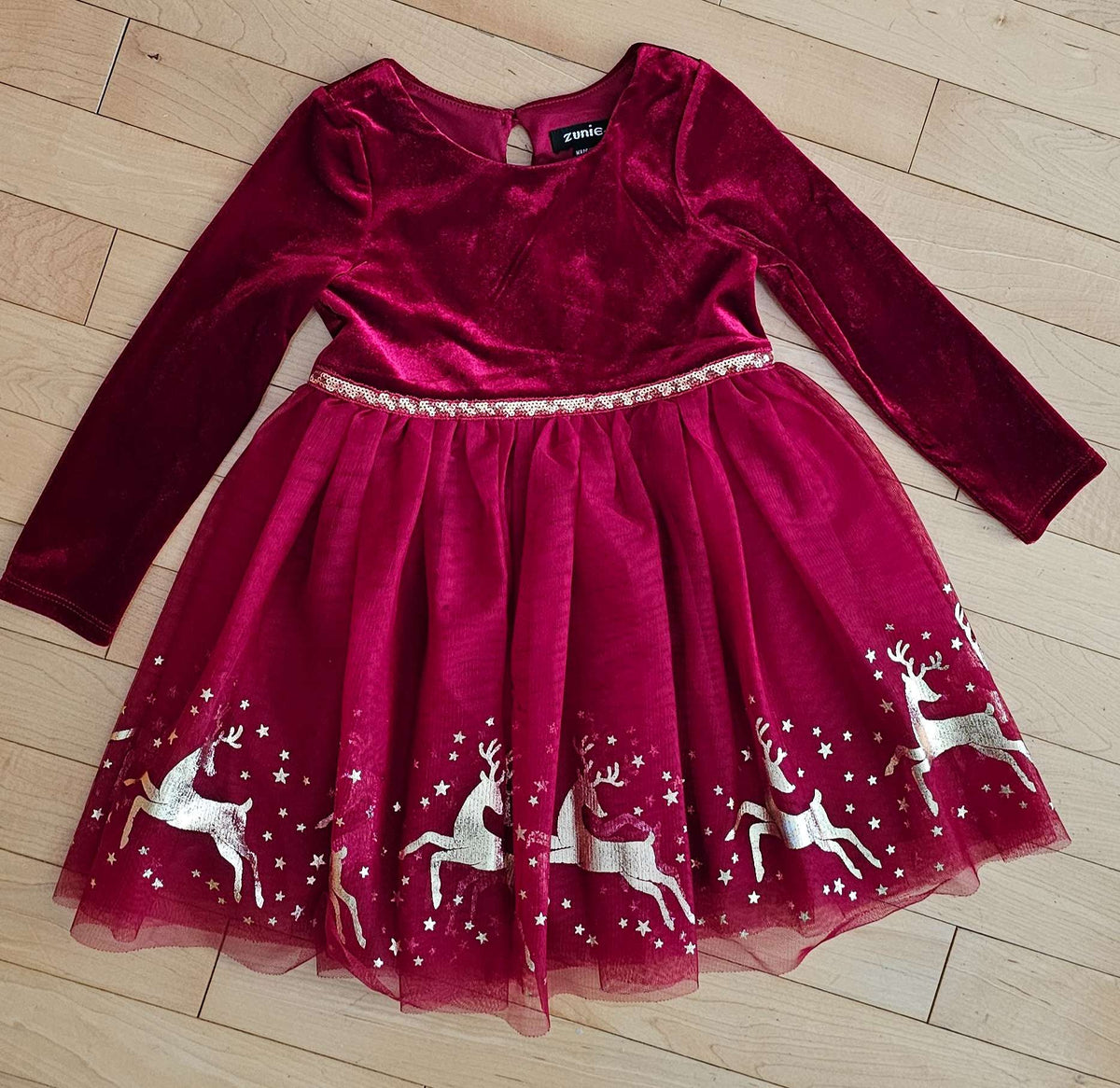 Red Velour and Tulle Holiday Dress 3T, Kids 3T