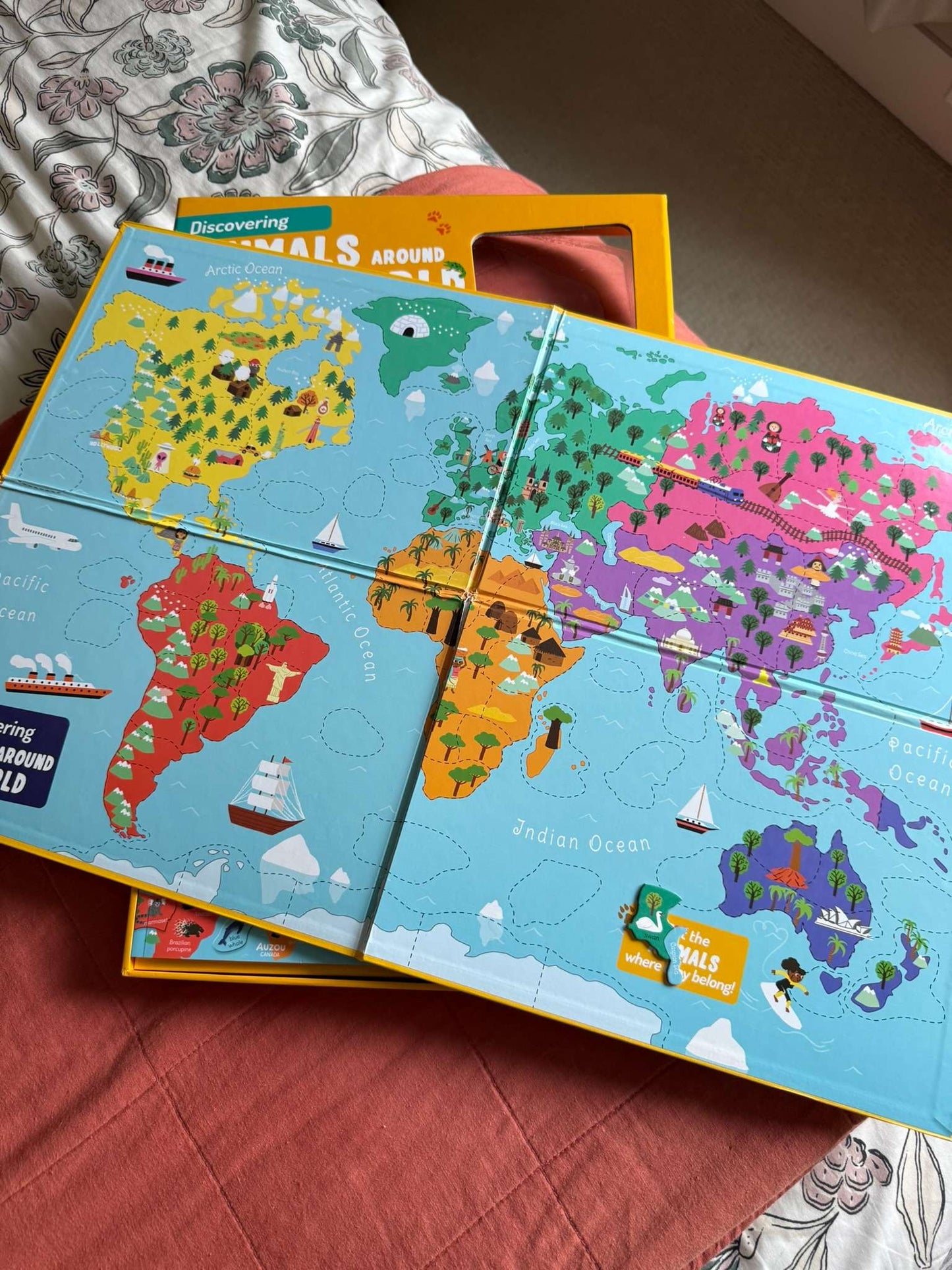 Animals Around the World Educational Set