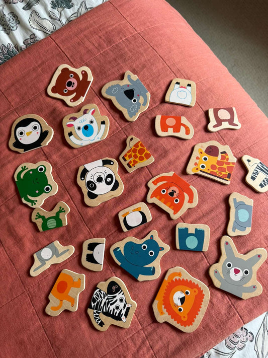 Djeco Animal Magnets