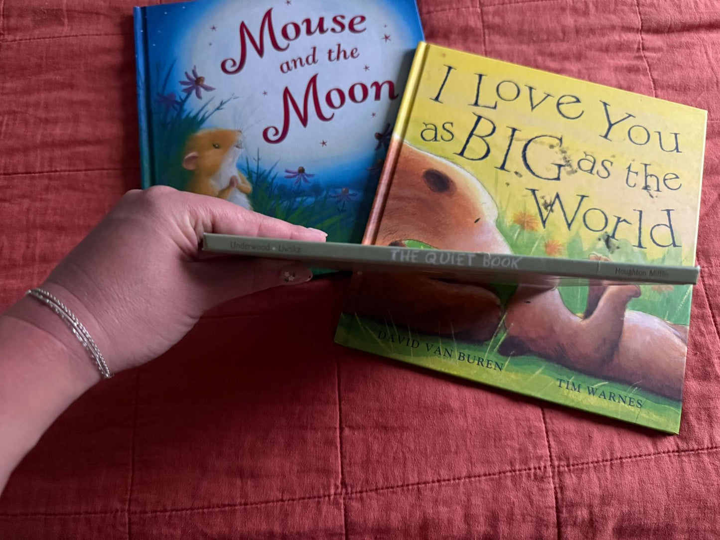 Bedtime Picture Book Lot - 3 Hardcovers - I Love You as Big as the World & More