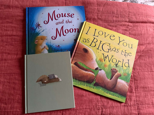 Bedtime Picture Book Lot - 3 Hardcovers - I Love You as Big as the World & More