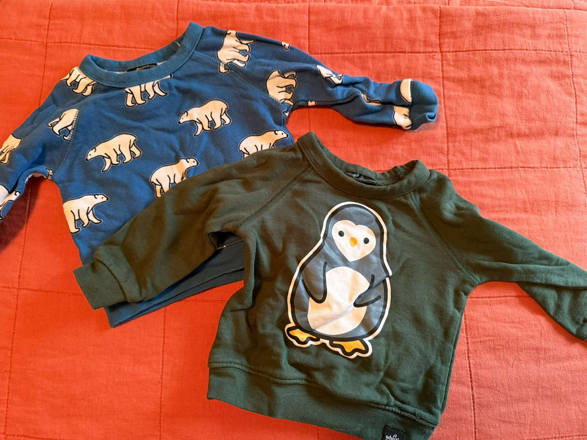 Whistle & Flute Long Sleeve Tops, 2 Pack, 6-12 Months 2/2, Kids 12 Month (9-12M)