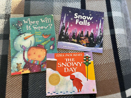 Winter Snow Picture Book Bundle of 3