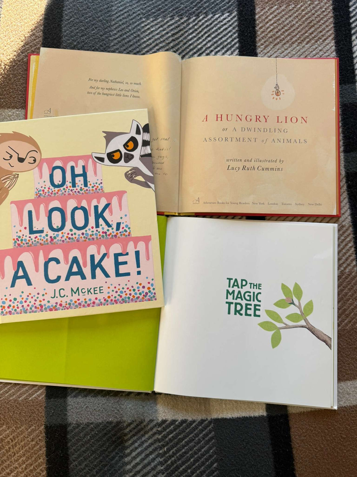 Hardcover Picture Book Bundle