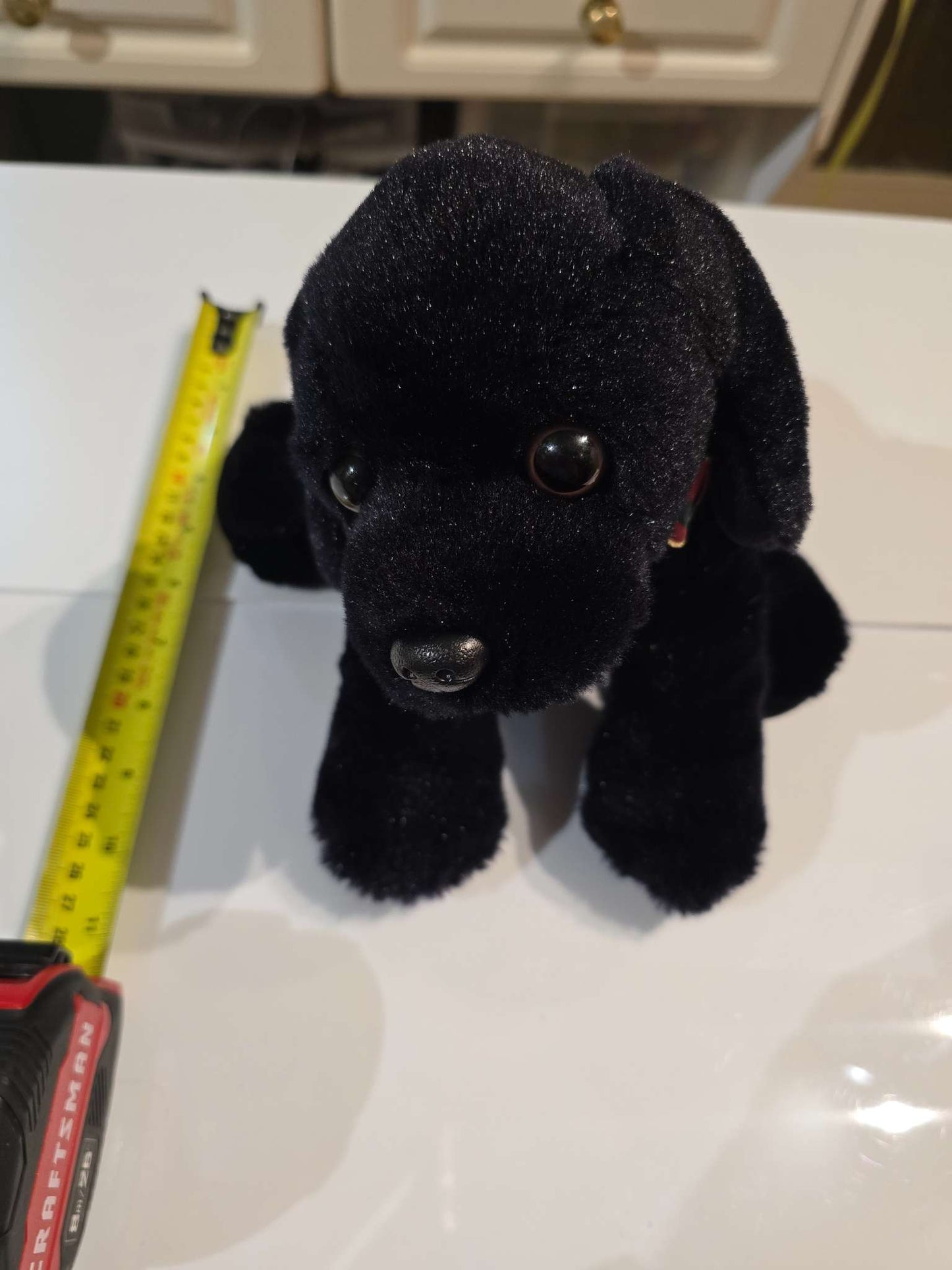 Medium sized monkey and puppy