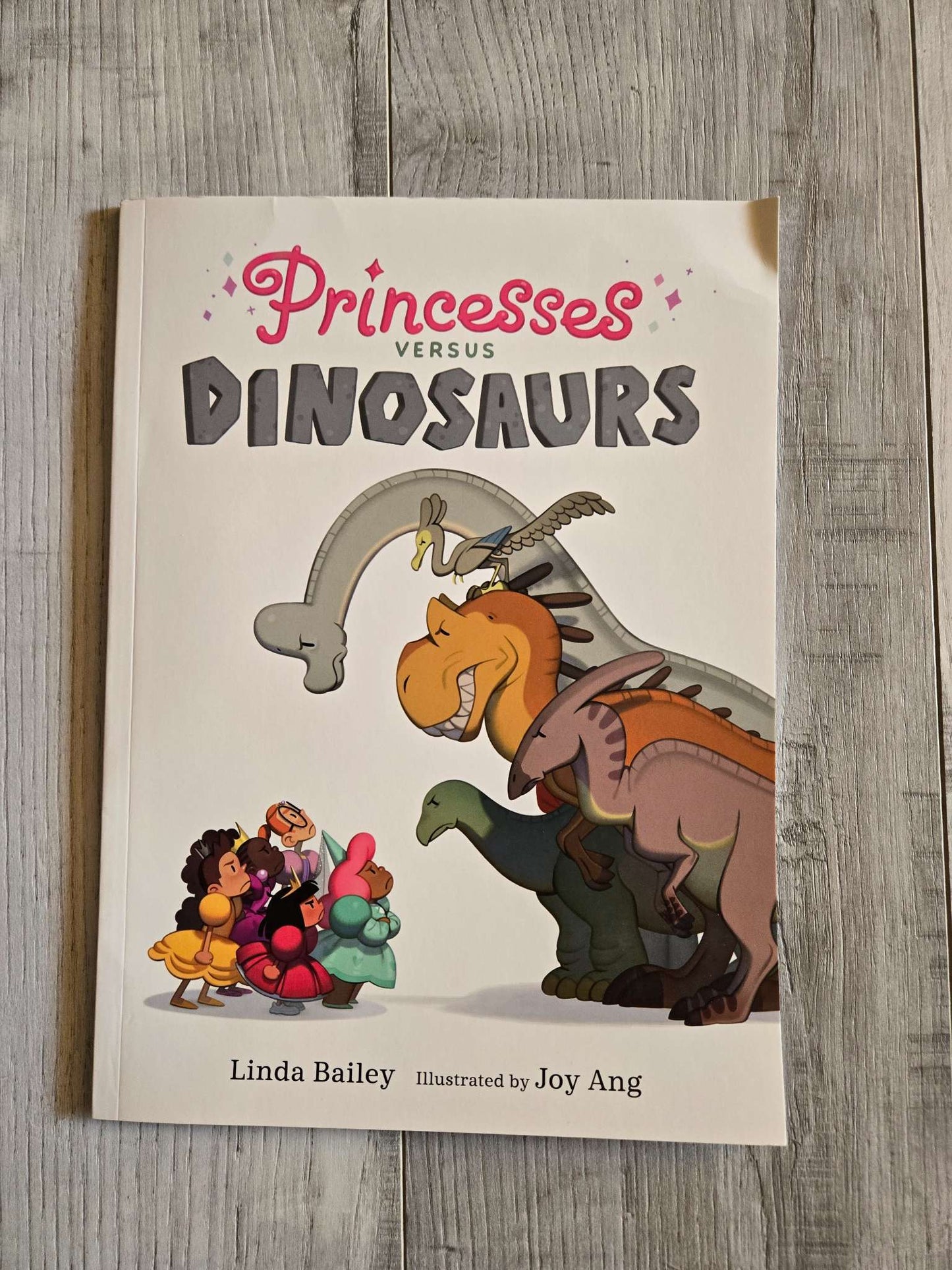 Princess Versus Dinosaurs Book, Brand New