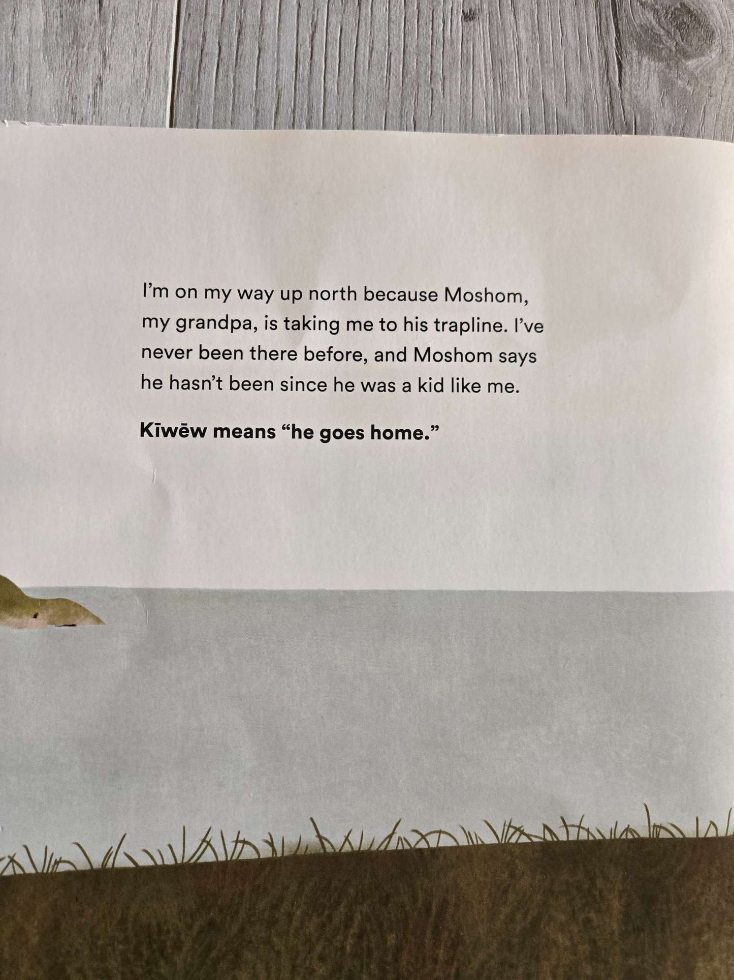 Set of 2 Children's book
