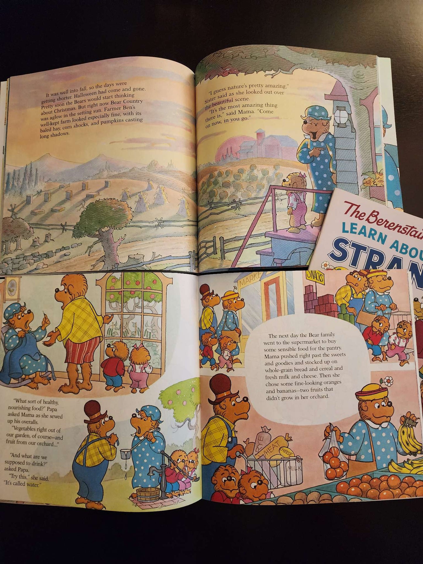 3 book Bundle, The Berenstain Bears