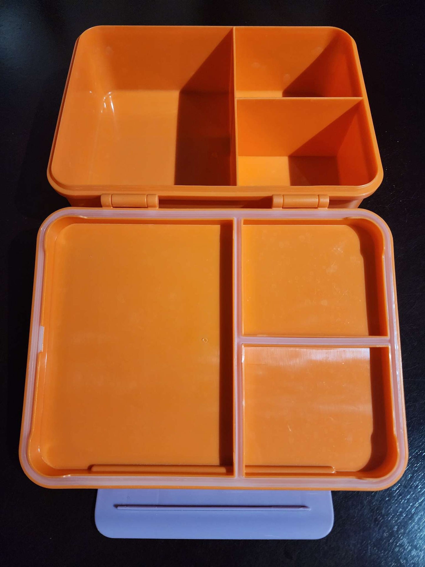 Cat & Jack lunch bento box from Target USA - Vans
