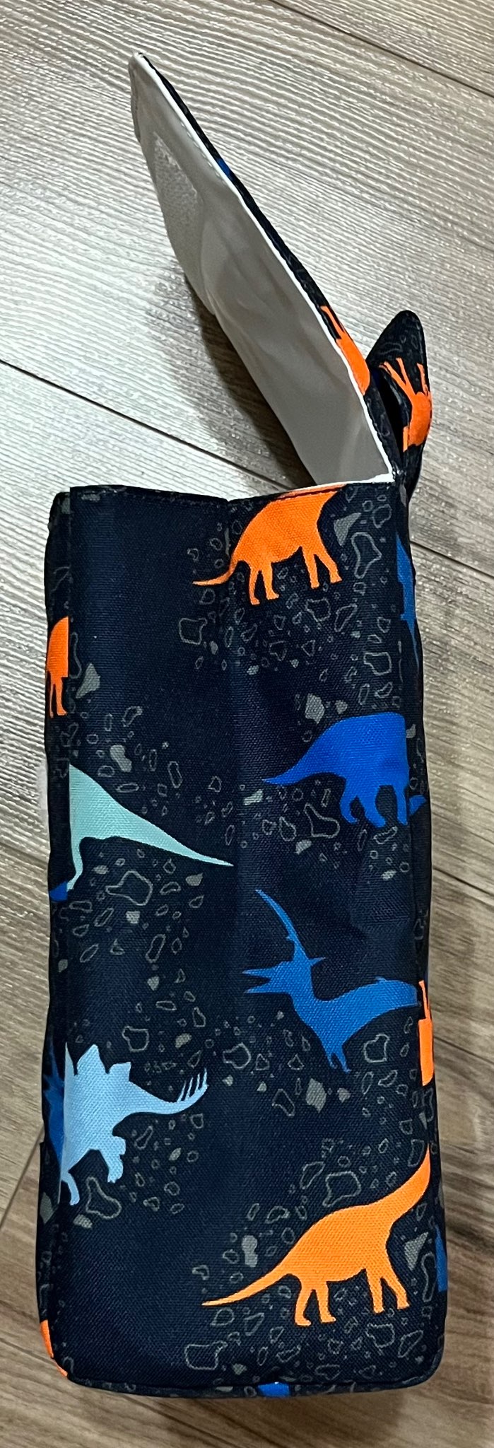 Parkland Dinosaur Print Insulated Lunch Bag, EUC
