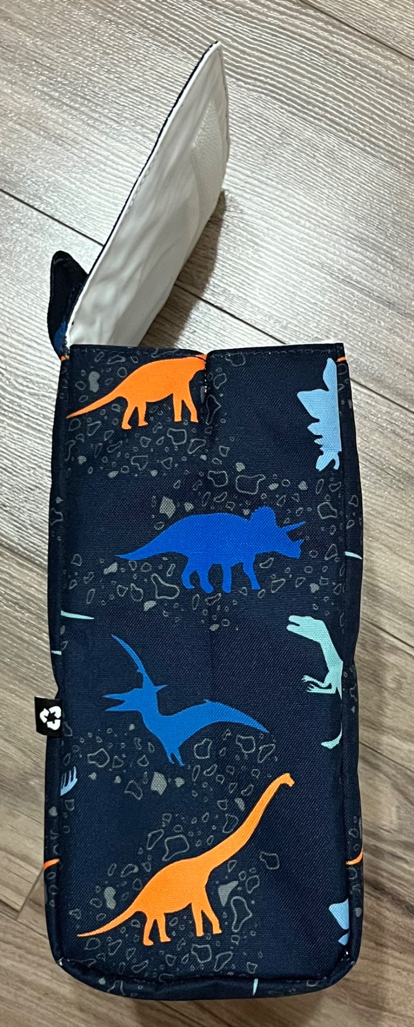 Parkland Dinosaur Print Insulated Lunch Bag, EUC