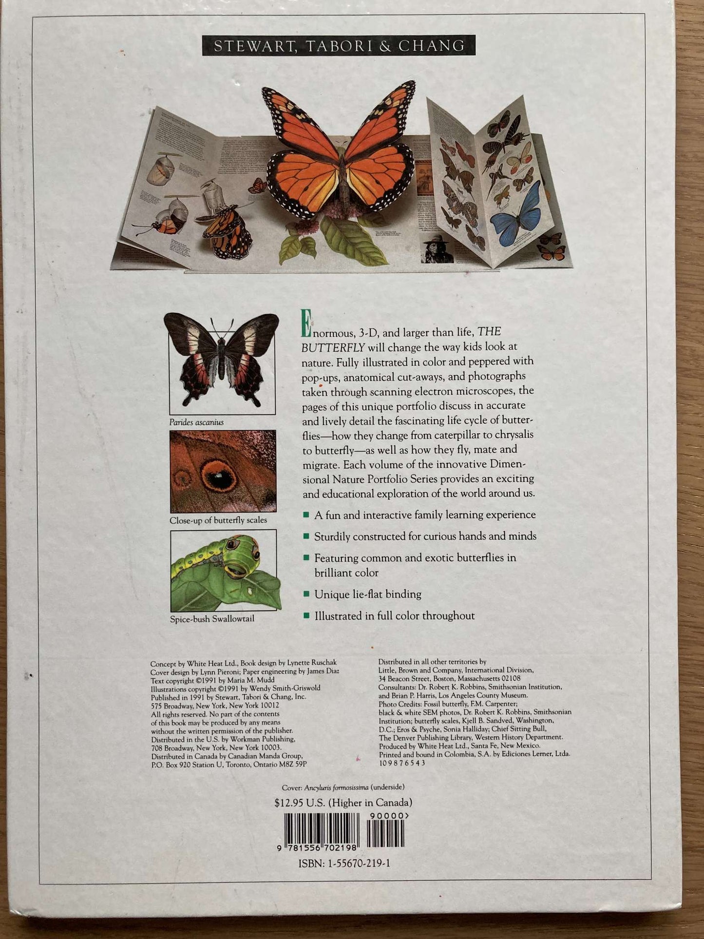 The Butterfly 3-Dimensional Book