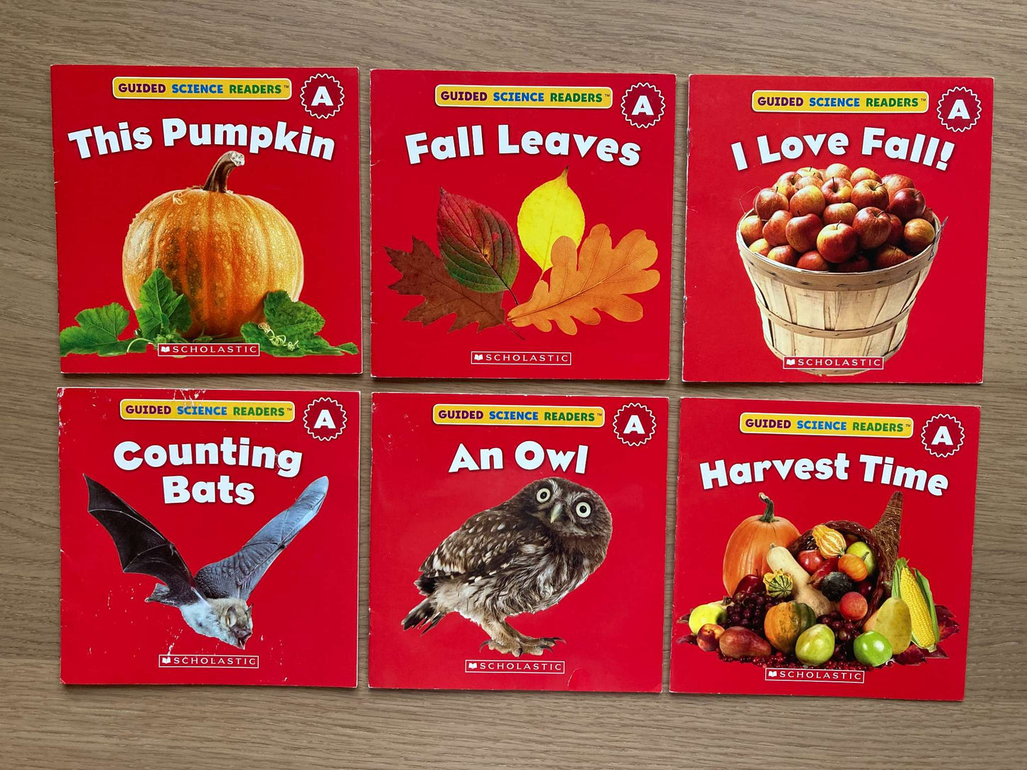 Bundle Mini Books Level A