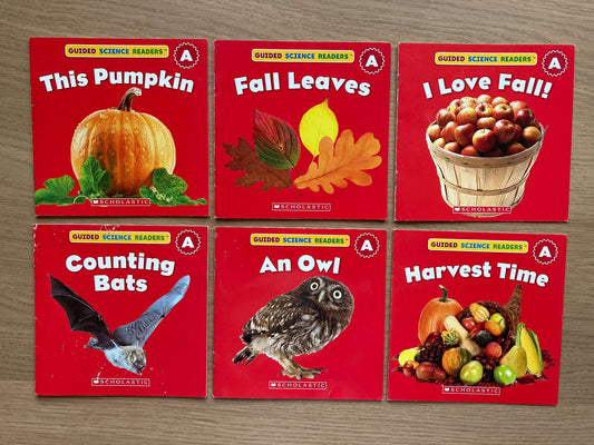 Bundle Mini Books Level A