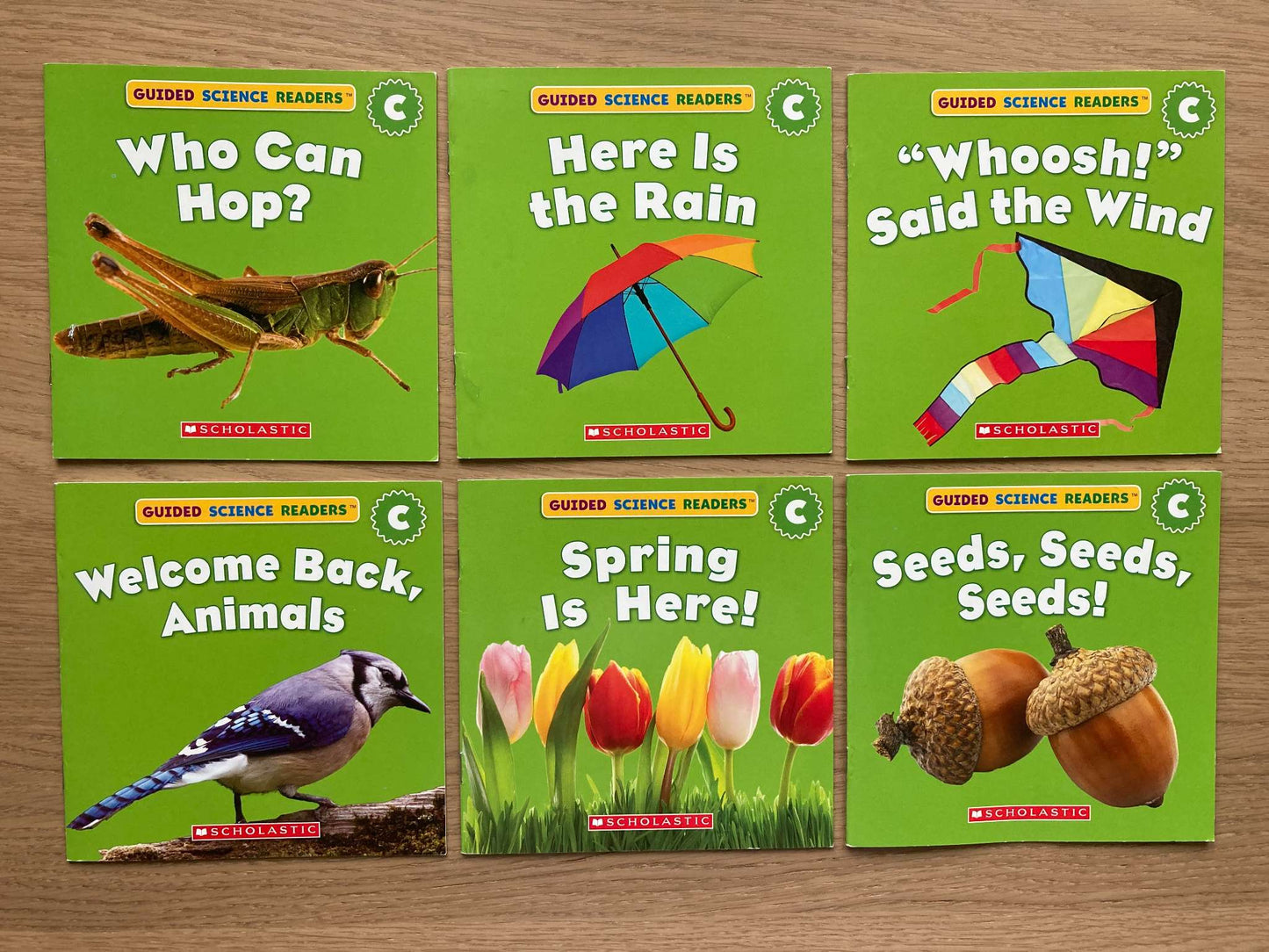 Bundle Mini Books Level C