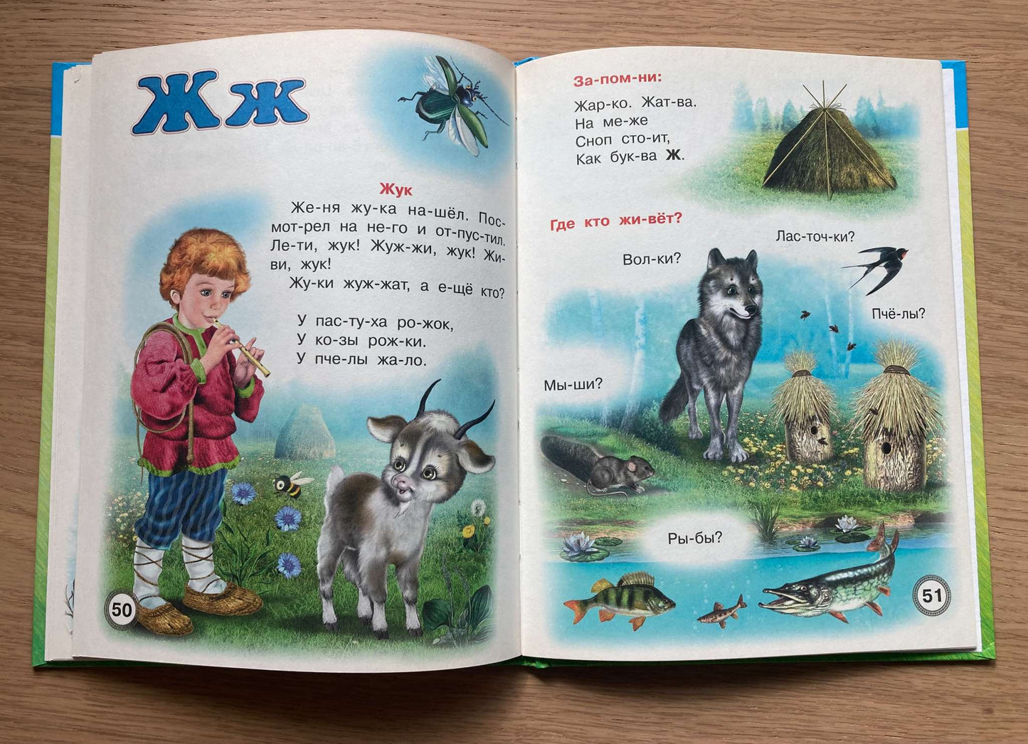 Alphabet Book in Russian