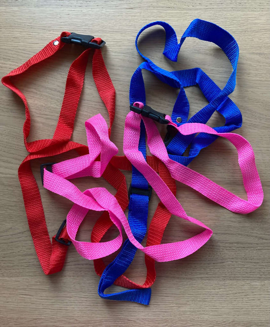 Bundle 3 Toddler Leashes
