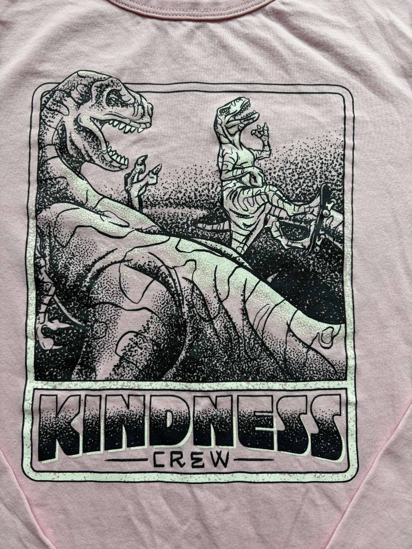Kindness Shirt with Dinosaurs, Size 7-8, Kids 7