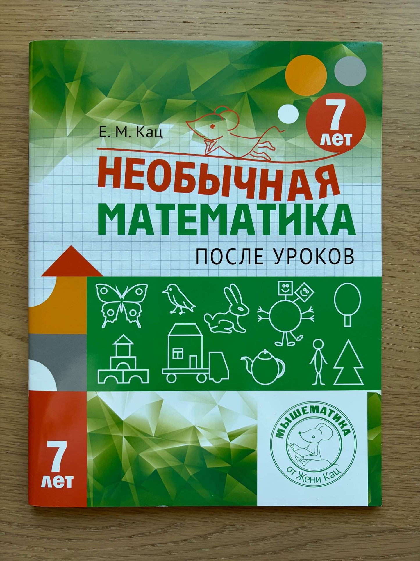NEW Math Activity Book in Russian