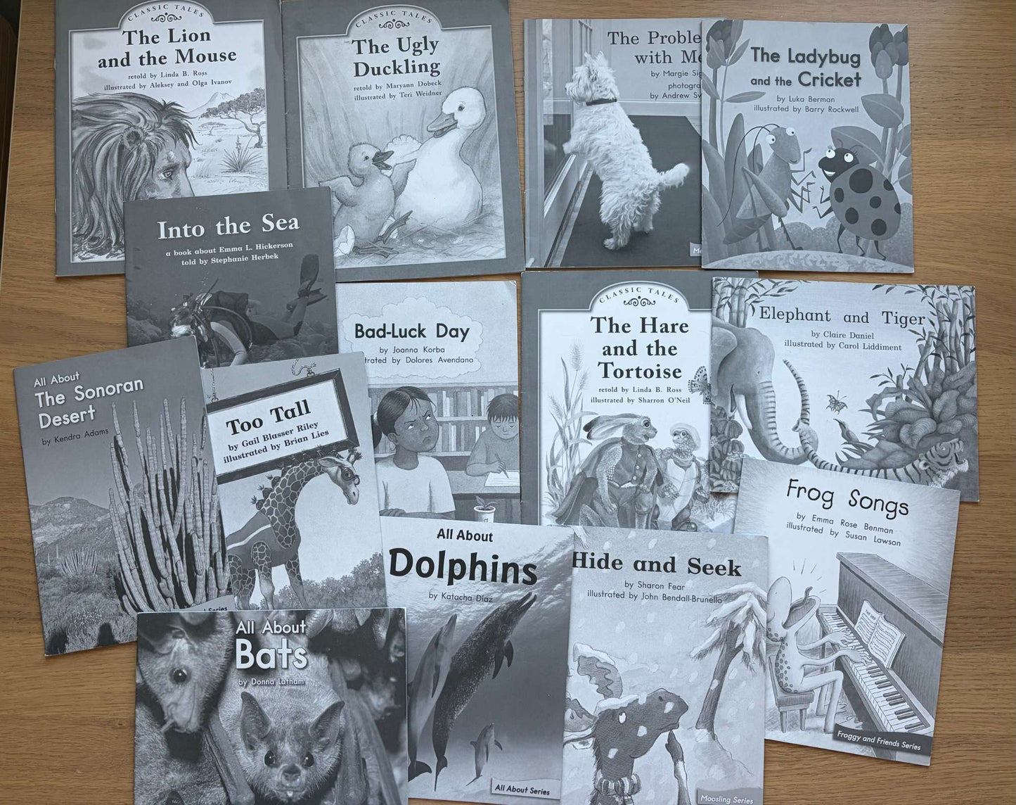 Book Bundle Reading Practice Level J