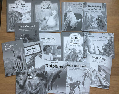 Book Bundle Reading Practice Level J
