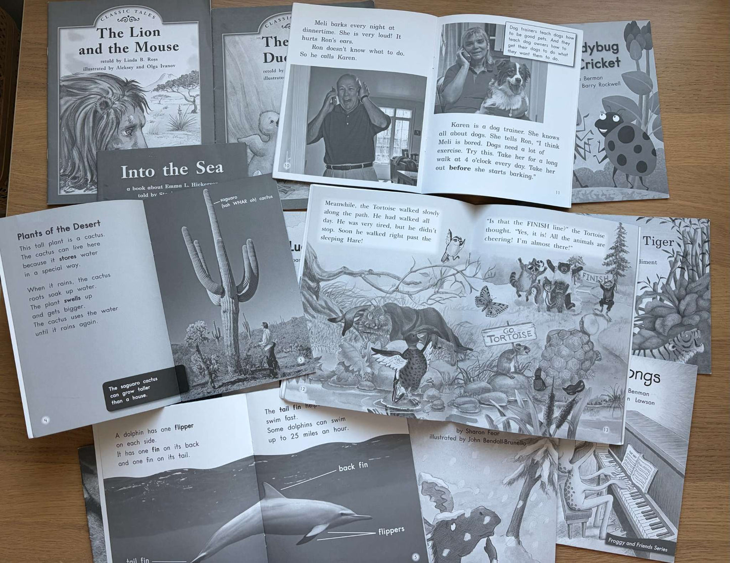 Book Bundle Reading Practice Level J