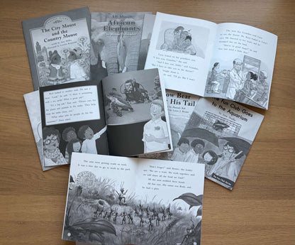 Book Bundle Reading Practice Level K