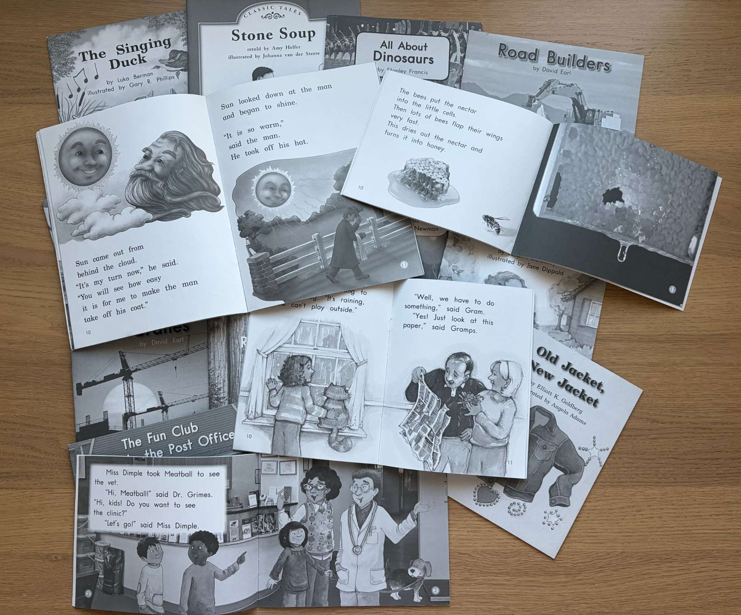 Book Bundle Reading Practice Level I