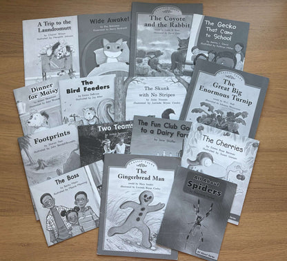 Book Bundle Reading Practice Level H