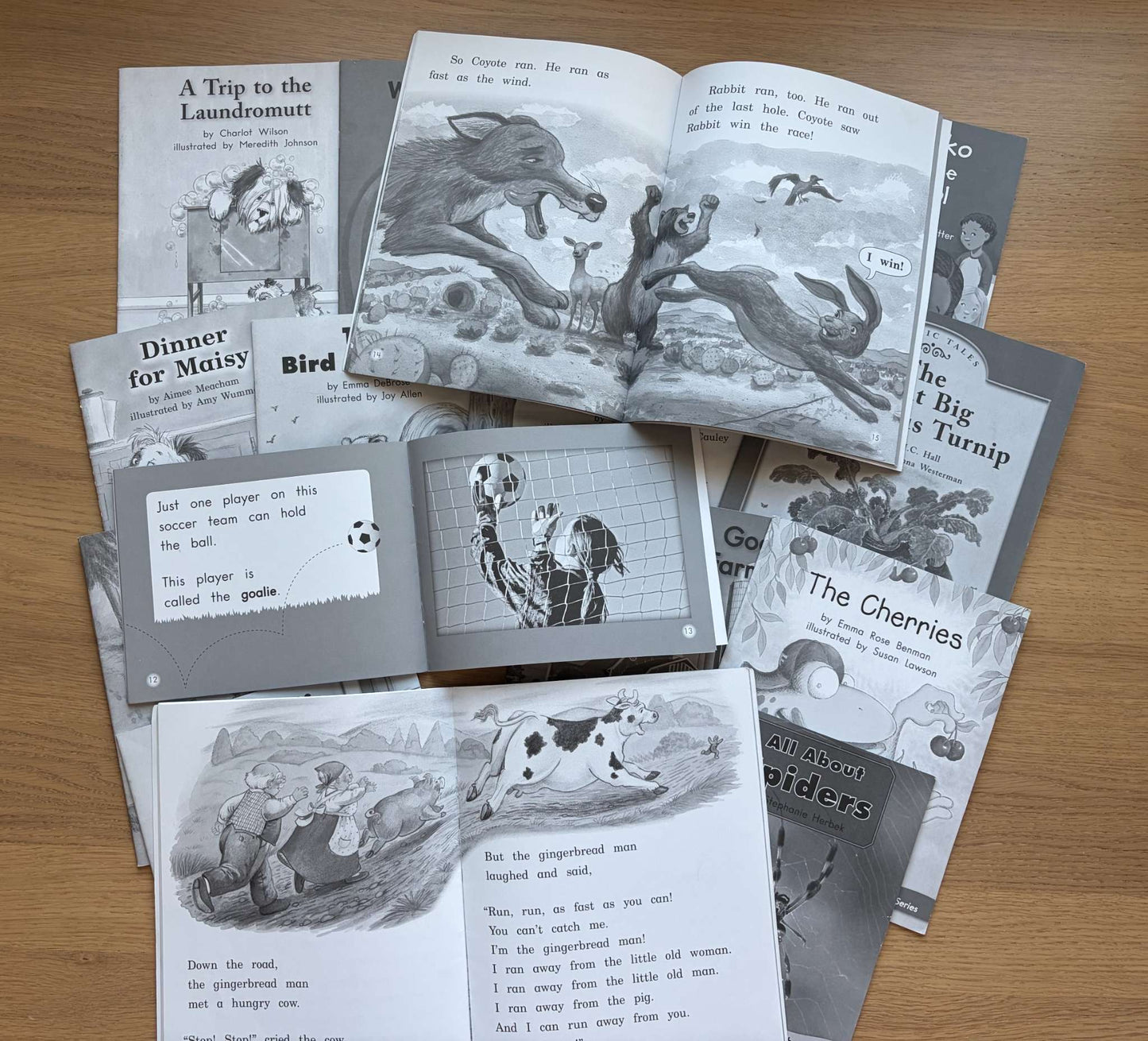 Book Bundle Reading Practice Level H