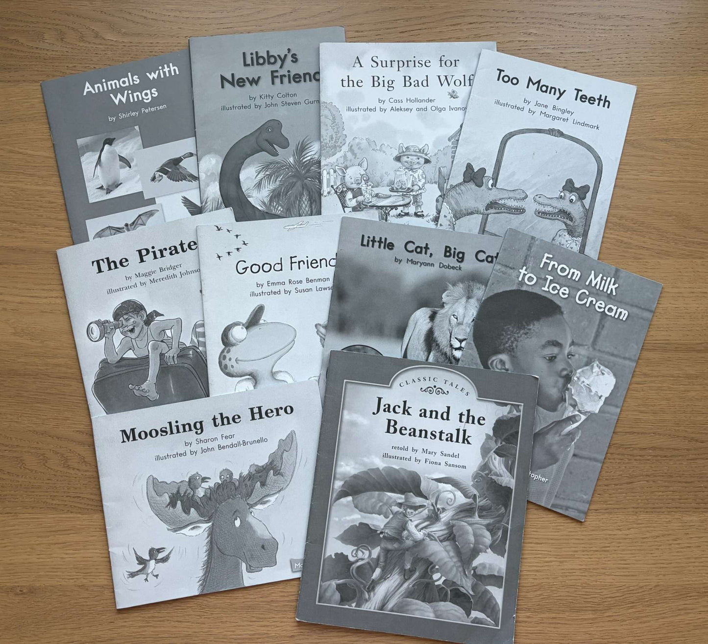 Book Bundle reading Practice Level L
