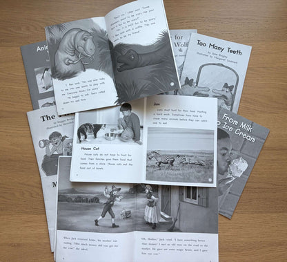 Book Bundle reading Practice Level L